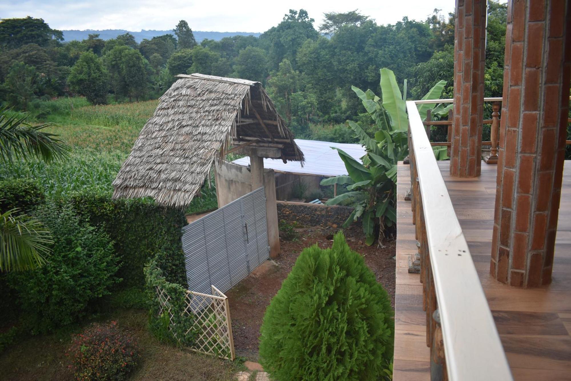 Kilimanjaro Accommodation Msaranga Exterior photo